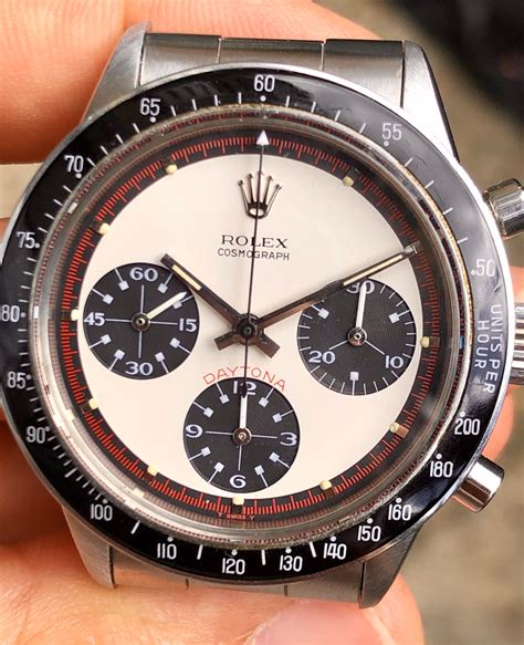 rolex daytona paul newman stahl|rolex daytona 6241 price.